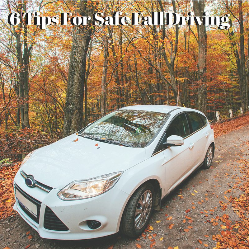 a car on a road surrounded by trees in the summer with leaves all over the ground