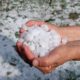 2 hands holding hail