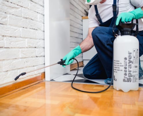 Pest control worker wearing gloves and a mask, kneeling on a hardwood floor while spraying pesticide along the base of a wall with a handheld sprayer.