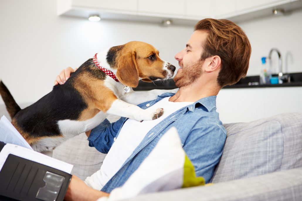 a dog climbing on top of his owner while he is reading a book