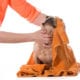 a person drying a dog with a towel