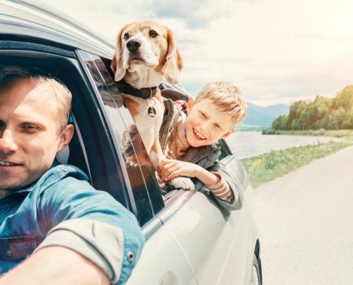Father and son with dog leaning out car window during family road trip
