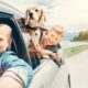 Father and son with dog leaning out car window during family road trip