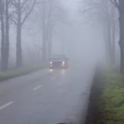 Car driving on a foggy road lined with trees.