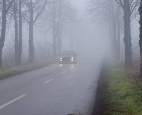 Car driving on a foggy road lined with trees.