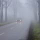 Car driving on a foggy road lined with trees.